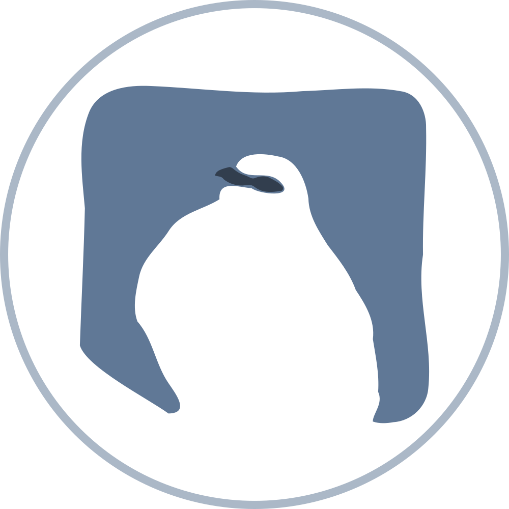 charadrius.ch